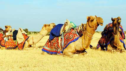 rann-of-kutch